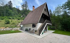 Our Forest House